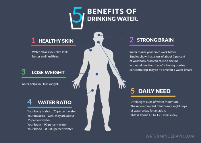 Drinking water benefits infographic vector